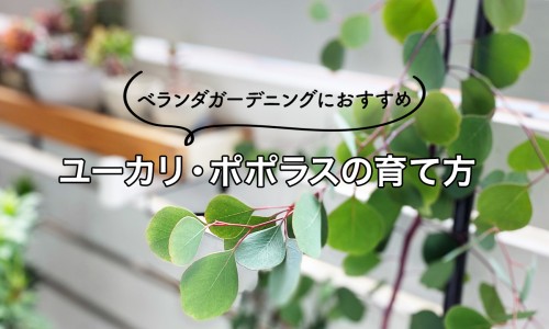 内脏脂肪能饿下来吗-内脏脂肪吃什么得的-专业内脏脂肪厚怎么减肥平台-内脏脂肪厚怎么减肥