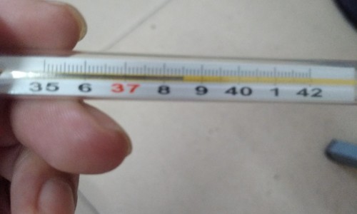 内脏脂肪怎么减最有效的方法-内脏脂肪吃什么得的-专业内脏脂肪厚怎么减肥平台-内脏脂肪厚怎么减肥
